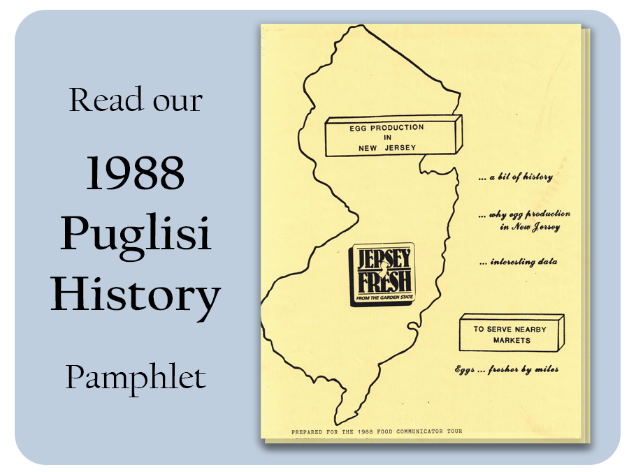 1988 Puglisi History